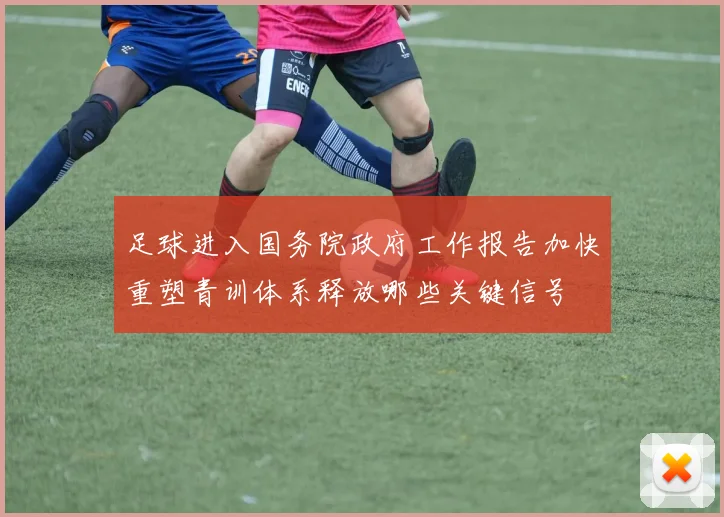 足球进入国务院政府工作报告加快重塑青训体系释放哪些关键信号